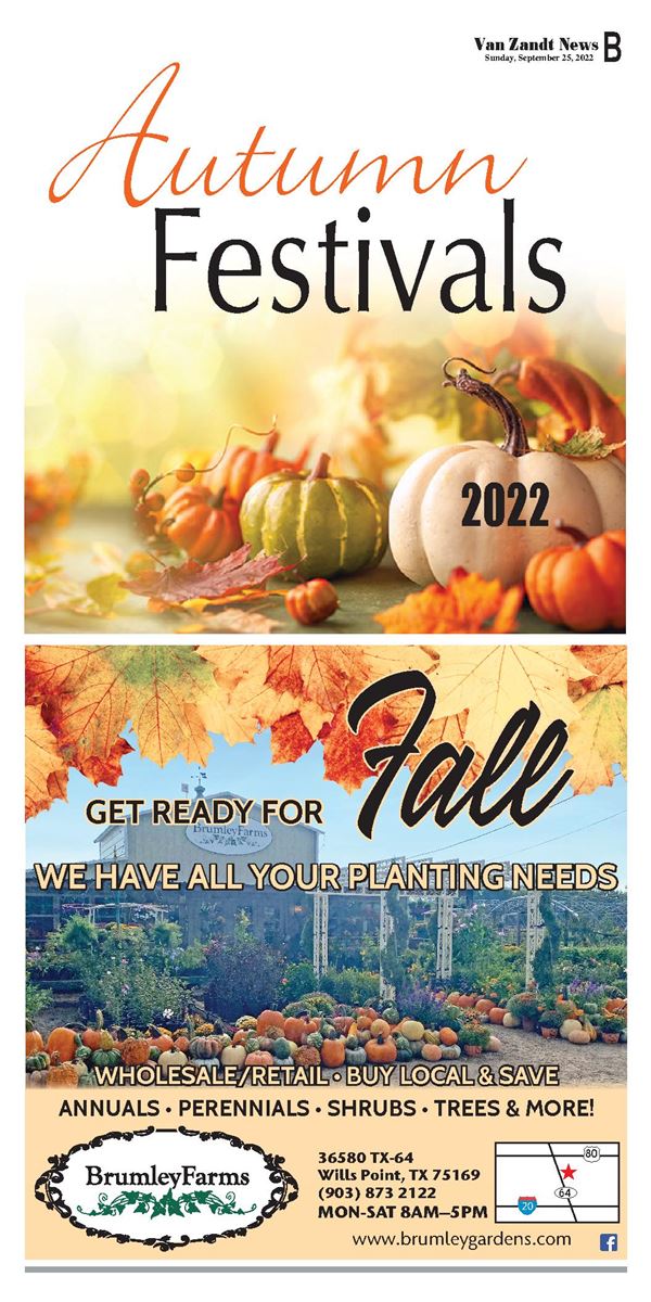 Fall Festivals