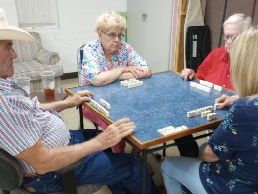 Senior Citizens celebrate July 4th