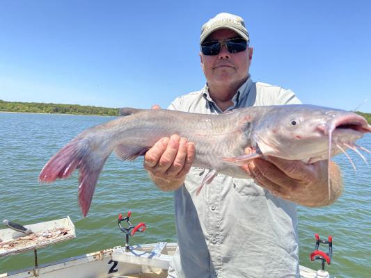 A PRIMER FOR SUMMER FISHING