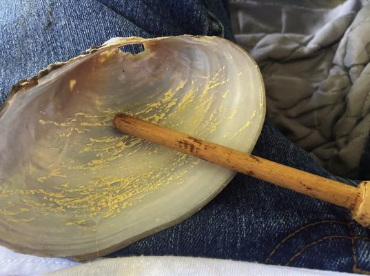 Getting ready for an outdoor adventure is almost as much fun as the outing itself. This week, Luke writes about how he has been getting ready for his annual outdoor event in Greenville but also getting ready for turkey and hogs as well. Luke is ready for turkey season with his homemade turkey call made from a freshwater mussel shell. Photo by Luke Clayton