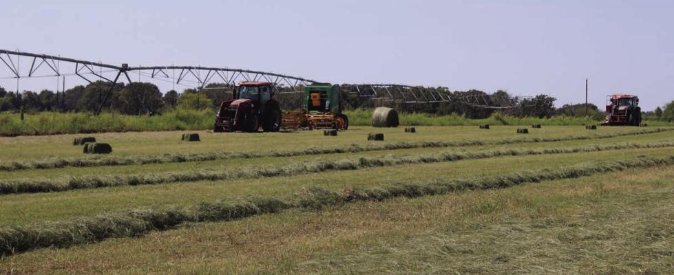 Stewart discusses hay operation during ag bus