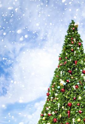 Merry Christmas