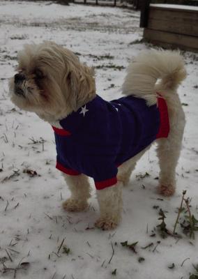 WINTER STORM