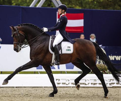 McMillan shines at Texas Rose Horse Park competition