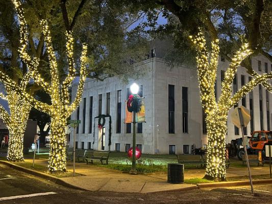 HOLIDAY LIGHTS