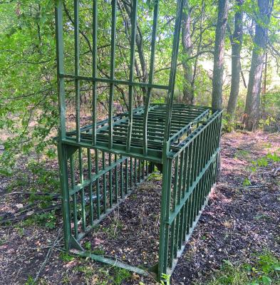 Luke is making plans to put his old hog trap to use. Some fresh prime wild pork is needed for an upcoming dinner and it’s time to break this old trap out of retirement. Photo by Luke Clayton