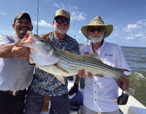 Jeff Rice, middle, shows off the big striper of the day landed with guide Lil’ Dave, left, and Bill Carey. Photo by Luke Clayton