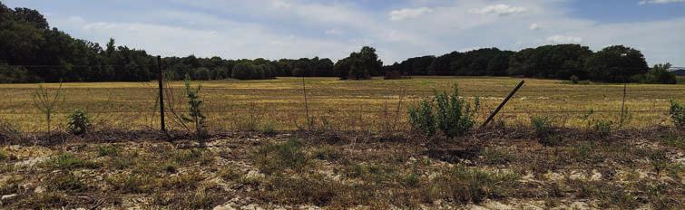 With no measurable precipitation expected soon, Van Zandt County remains under a 90-day burn ban that was approved Aug. 7 by the VZC Commissioners Court. Photo by Deidre Pennell