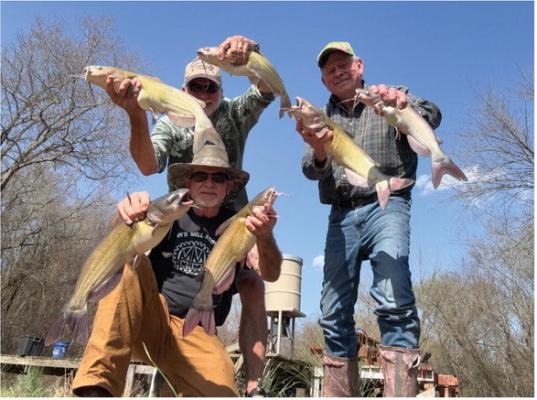 Luke and a couple of good friends, Jeff Rice (standing) and Phil Zimmerman did a bit of ‘test’ creek fishing for spawning white bass last week. Finding the white bass non-cooperative, they turned the day into a banner catfishing extravaganza that resulted in fillets for several big fish frys. It’s good to have a ‘Plan B’ when fishing. Photo by Jeff Rice