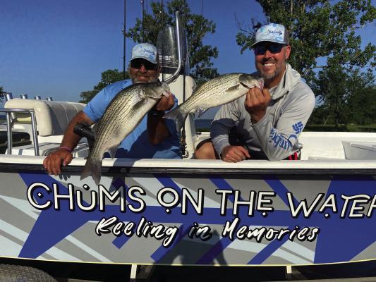 Brett Kilmer, left, and Casey Laughlin with ‘Chums on the Water Guide Service’ show off a couple of hybrid stripers landed with Luke last week at Lake Tawakoni. Photo by Luke Clayton