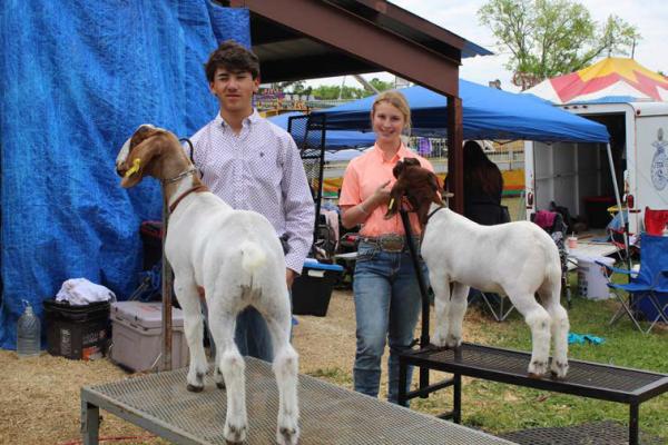 FUN AT THE COUNTY FAIR