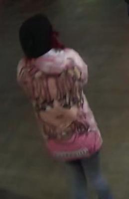 VZC Sheriff’s Department seeking assistance in investigation