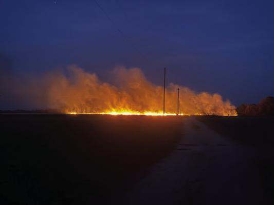 A grass fire was reported during the evening hours of March 22 