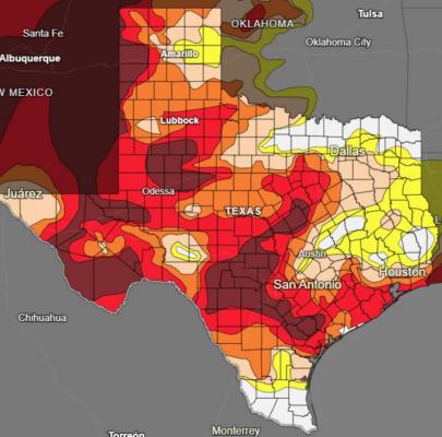 Van Zandt County is currently under a “Moderate Drought” index. This means that dry land crops are stunted, early cattle sales begin and wildfire frequency increases. Courtesy photo