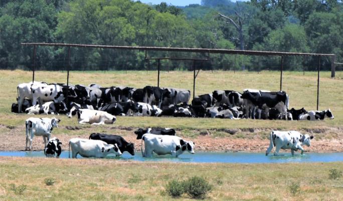 Heat wave deepens Texas drought