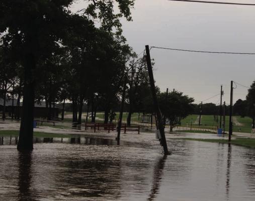 Flooding at First Monday