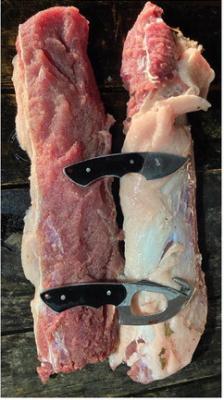 Luke considers prime cuts from wild hogs such as these backstraps to be some of the best eating from the wild. The trick is choosing the ‘right’ hog. Photo by Luke Clayton