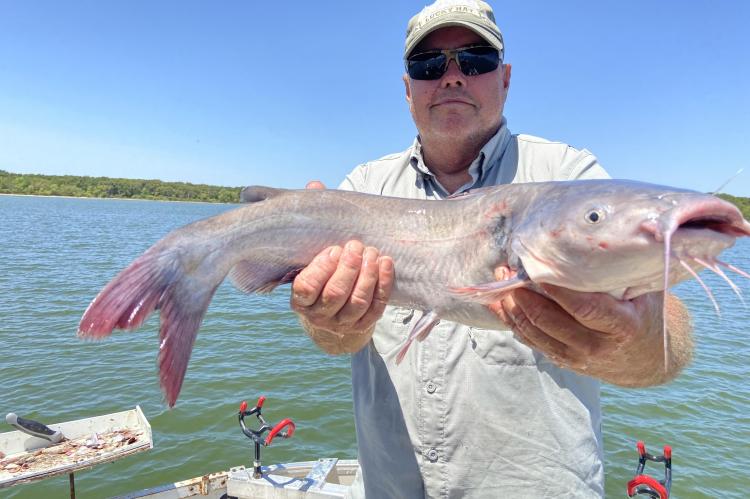 A PRIMER FOR SUMMER FISHING