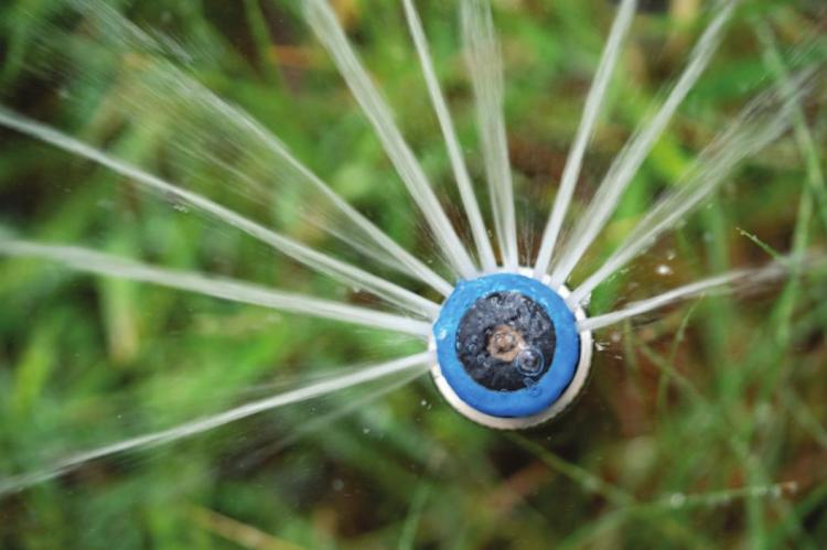 Sprinklers can save turfgrass, but homeowners should be mindful of timing and application duration for effective and efficient watering. Photo by Laura McKenzie