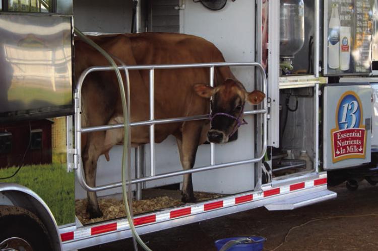 Fourth grade students attend annual VZC Farm Bureau Ag Days