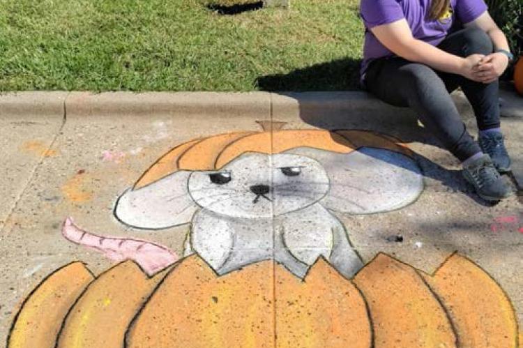 2nd Place Mouse in Pumpkin