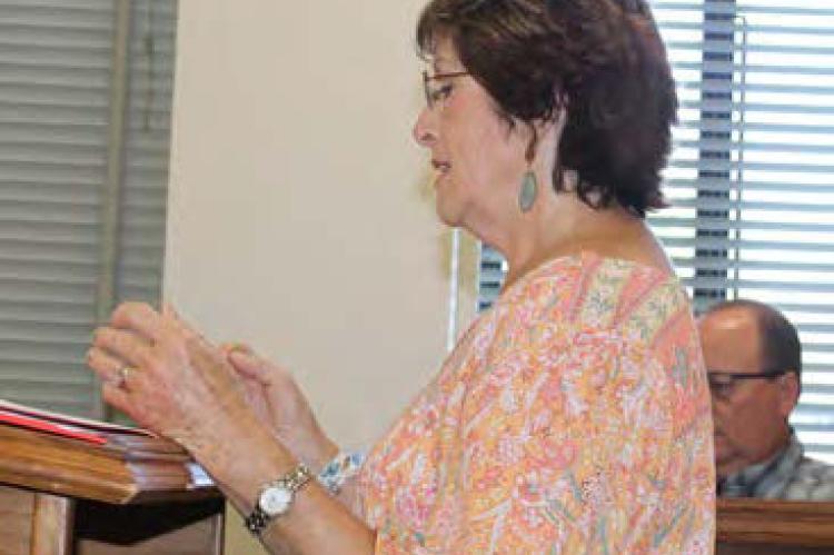 VZC Child Welfare Board presents new officers