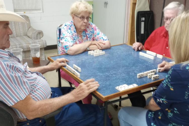 Senior Citizens celebrate July 4th