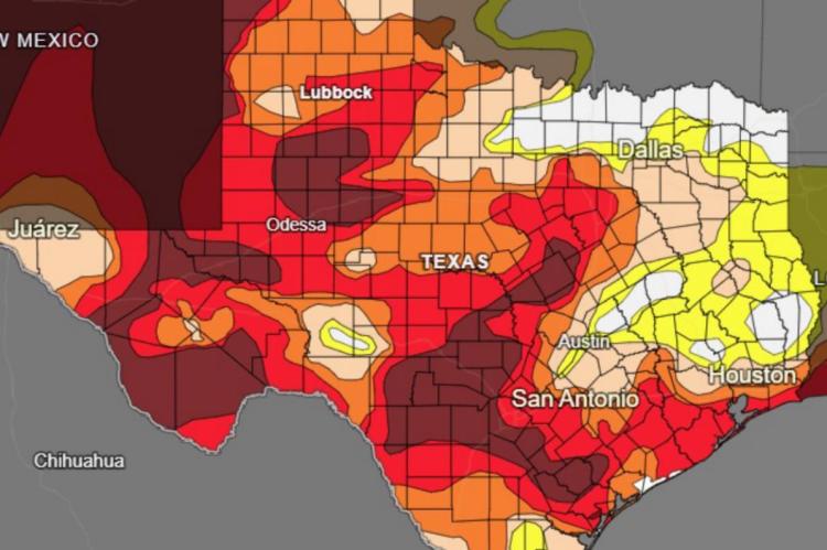 Van Zandt County is currently under a “Moderate Drought” index. This means that dry land crops are stunted, early cattle sales begin and wildfire frequency increases. Courtesy photo